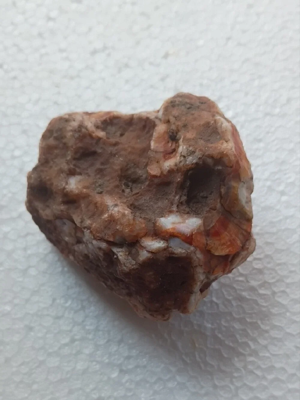 Natural Orange-Brown Reptile Hideaway Rock - Unbranded